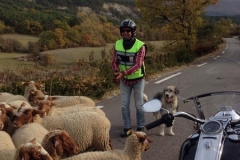 Lacdecatillon016